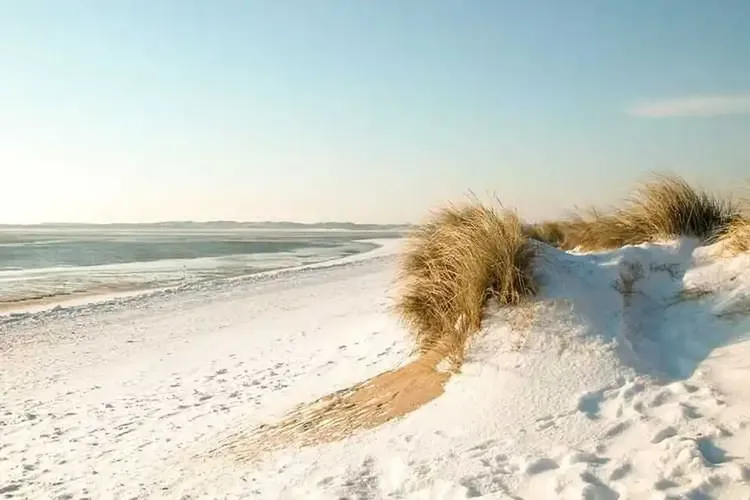 Affäre Sylt
