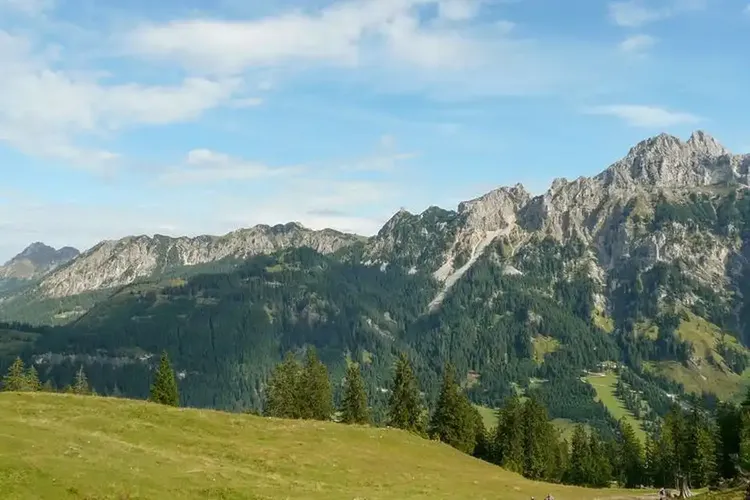 Neue 469 Erotikprofile nahe