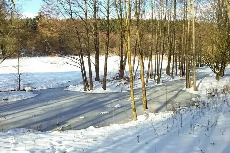 Manche Grannys wohnen in