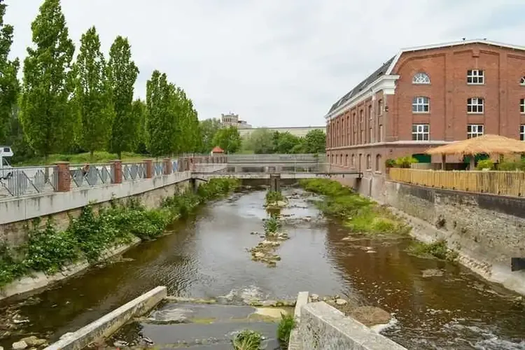 48 Omas kommen aus