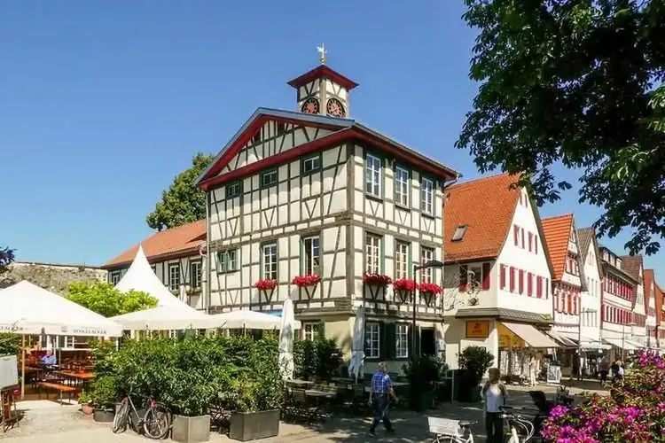 Frische 564 Profile in