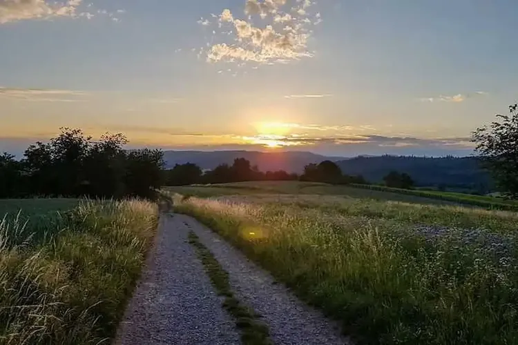 Willst Du geheim bumsen nahe