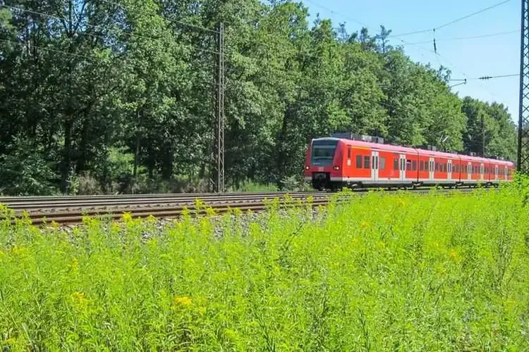 54 Damen wohnen in