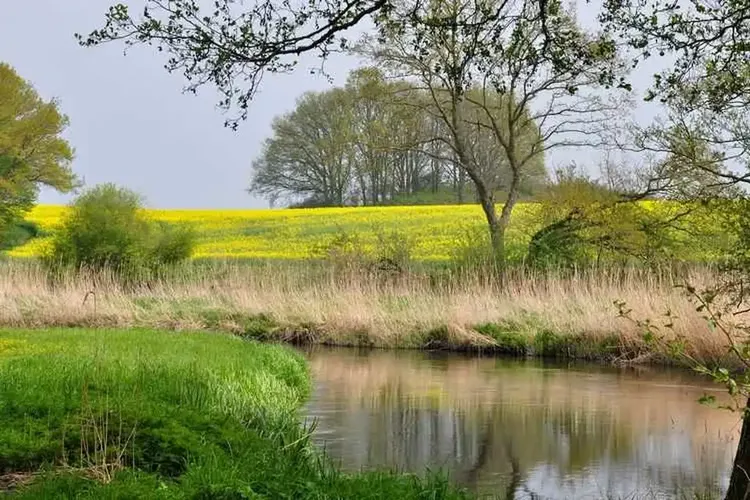 639 Schnitten flirten gerne in
