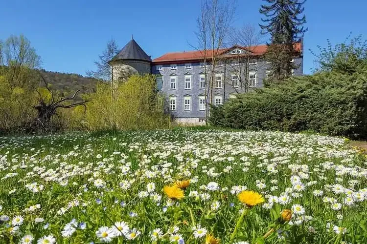 Viele Schlampen kommen aus