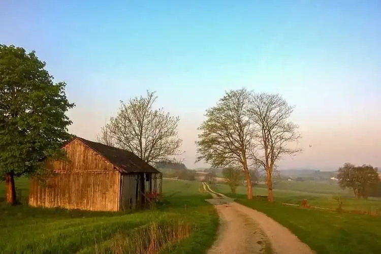 306 Schnecken treffen sich nahe