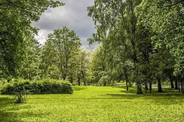72 Ladys kommen aus