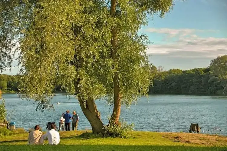 424 Ladys sind auf Partnersuche nahe