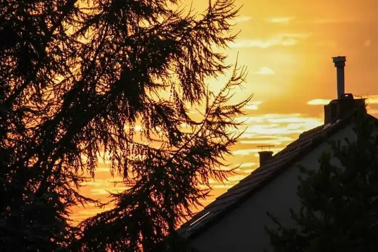 73 Schnecken wohnhaft in