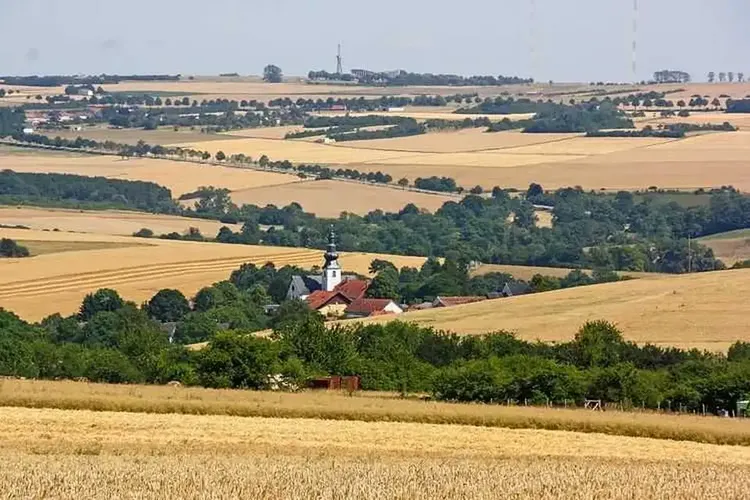 15 Weibsbilder nahe