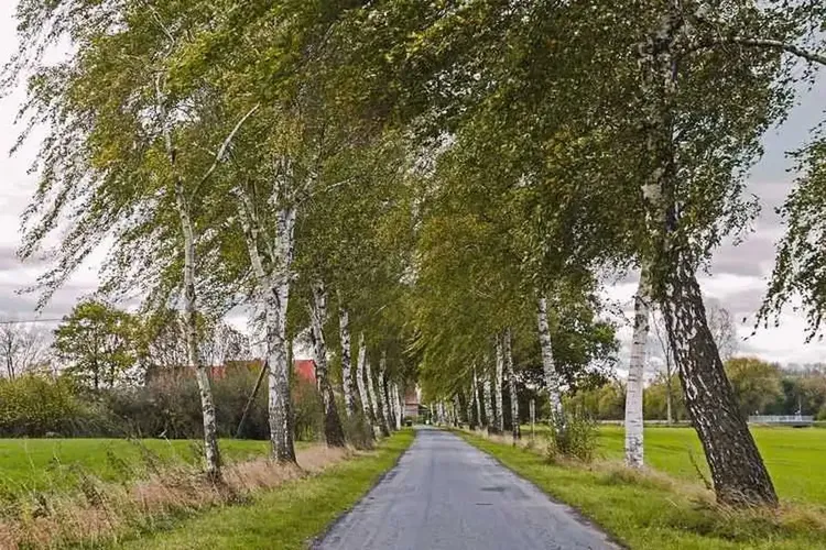 96 Tussen wohnhaft in