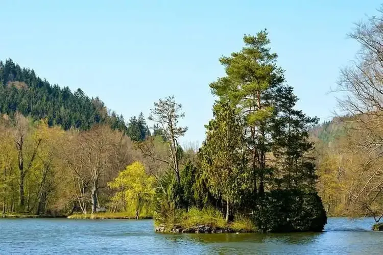 67 Weiber wohnen in