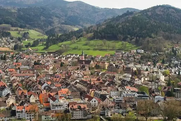 Aktuelle 743 Mitglieder in