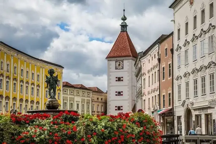 Herzliche Ladys kommen aus