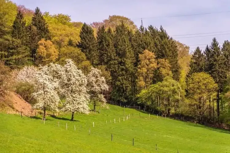 Luise wohnt nahe